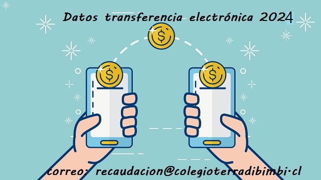 DATOS DE TRANSFERENCIAS ELECTRÓNICAS 2024